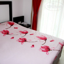 Volkii Hotel