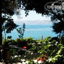 Sardunya Hotel