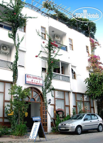 New photos from tourists Sardunya Hotel