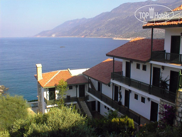 New photos from tourists Arpia Hotel