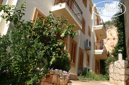 New photos from tourists Begonvil Hotel