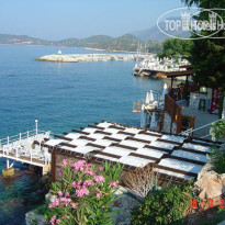 Medusa Hotel 