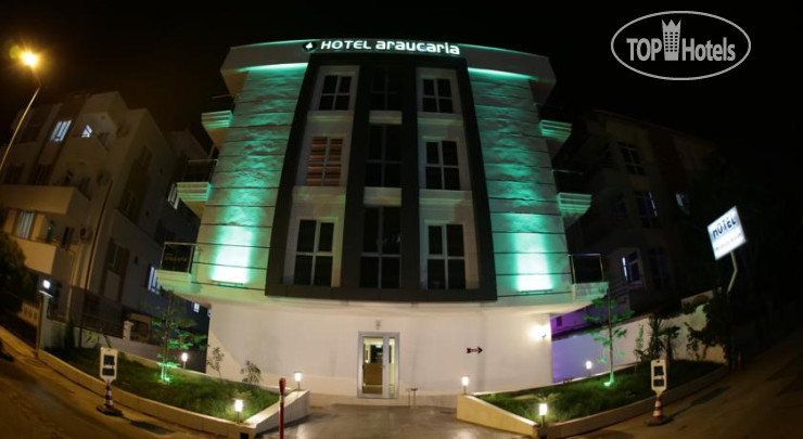 New photos from tourists Araucaria Hotel