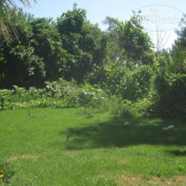 Adrasan Parlak Apart Hotel 