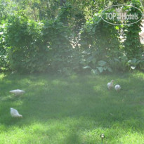 Adrasan Parlak Apart Hotel 