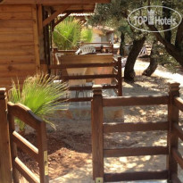 Olympos Mocamp