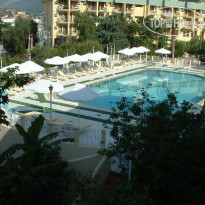 Club Phellos 