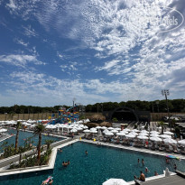 The X Belek