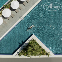 The X Belek