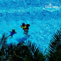 Berry Blue Hotels
