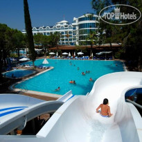 Berry Blue Hotels