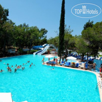 Berry Blue Hotels