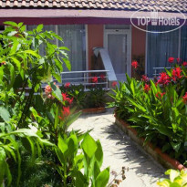 Mediterranean Garden