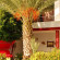 Carna Garden Hotel 