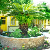 Kalia Beach Hotel Side