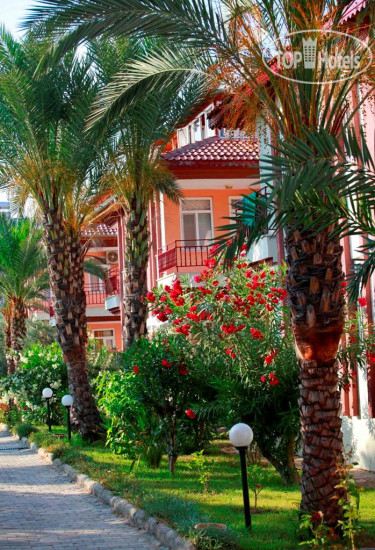 New photos from tourists SunLight Garden 3*
