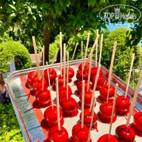 Seher Kumkoy Star Resort & Spa 