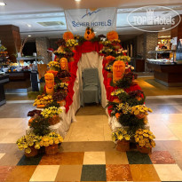 Seher Resort & Spa 