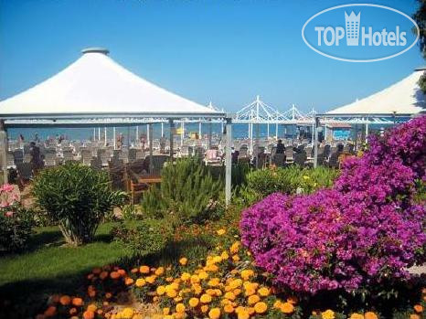 New photos from tourists Febeach 4*