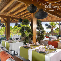 Sidemarin Kirman Premium 