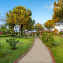 Sidemarin Kirman Premium 