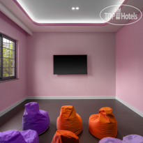 Calyptus Kirman Premium 