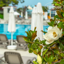 Casa Fora Beach Resort 