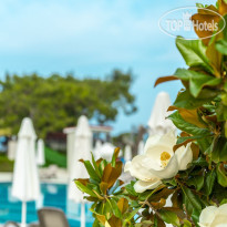 Casa Fora Beach Resort