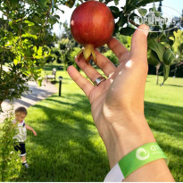 Marvida Family Eco Фото года