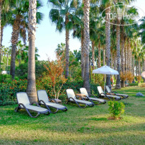 Royal Atlantis Beach