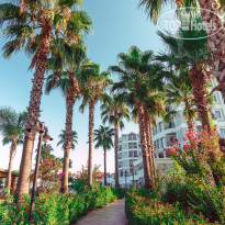 Royal Atlantis Beach