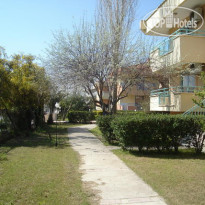 Mir Side Tropic