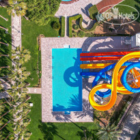 Arum Barut Collection 