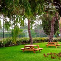 Asteria Collection Side  