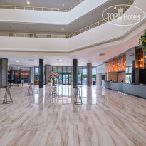 Asteria Collection Side  Reception