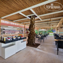 Asteria Collection Side  