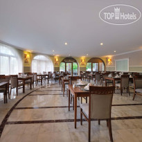 Asteria Collection Side  Adult Collection Main Restaura