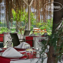 Asteria Collection Side  Turkish A la Carte Restaurant