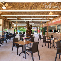 Asteria Collection Side  