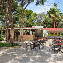 Asteria Collection Side  