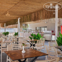 Asteria Collection Side  