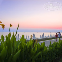Acanthus & Cennet Barut Collection