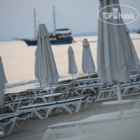 Acanthus & Cennet Barut Collection