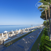 Acanthus & Cennet Barut Collection
