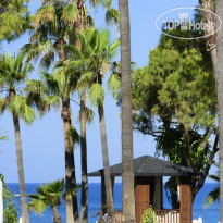 Acanthus & Cennet Barut Collection