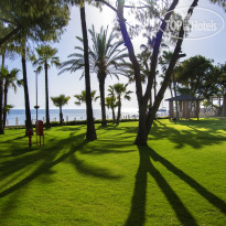 Acanthus & Cennet Barut Collection