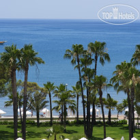 Acanthus & Cennet Barut Collection