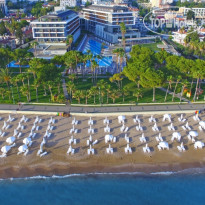 Acanthus & Cennet Barut Collection