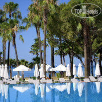Acanthus & Cennet Barut Collection
