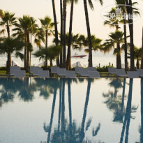 Acanthus & Cennet Barut Collection